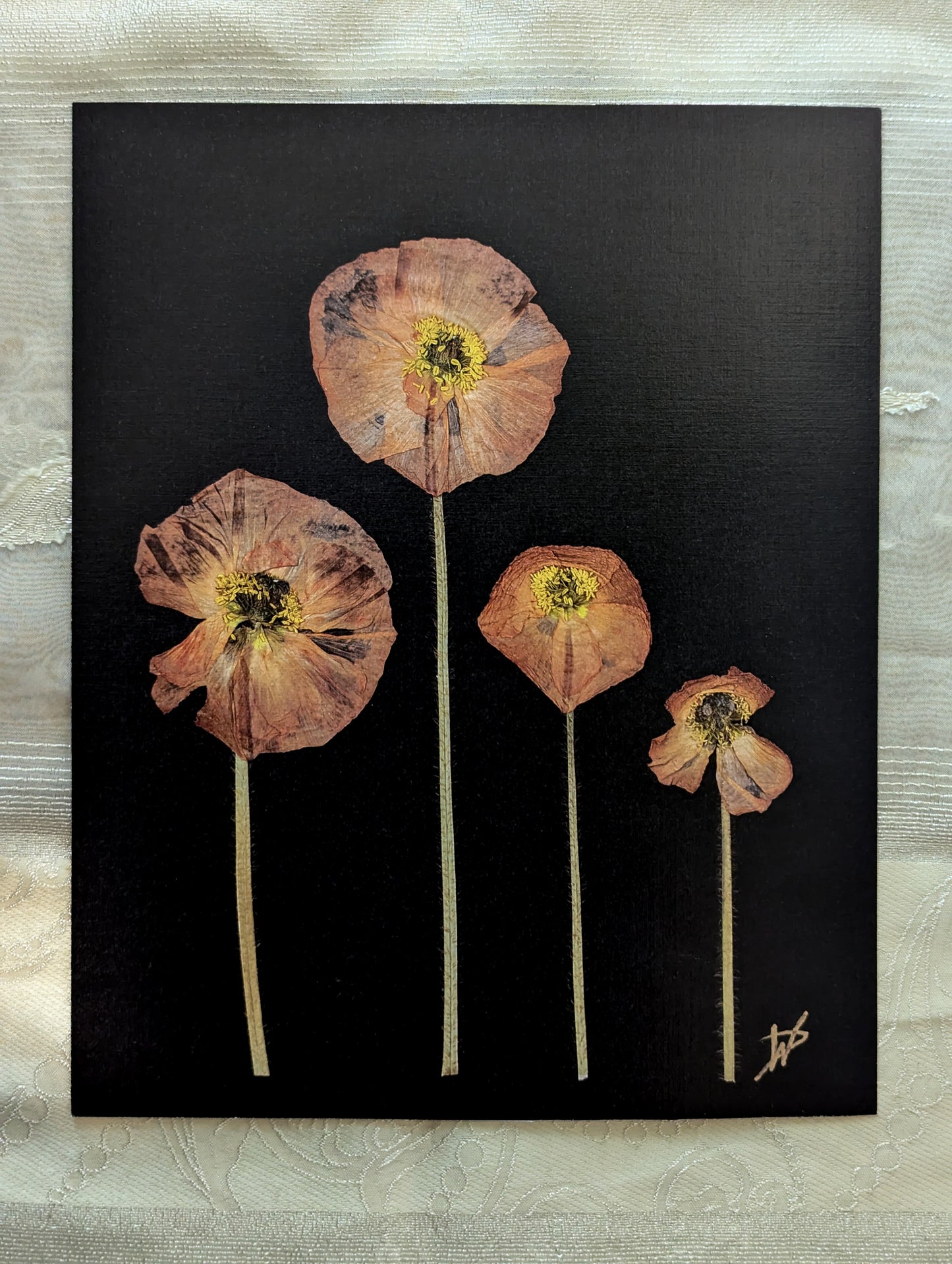 PDF for print pressed poppies