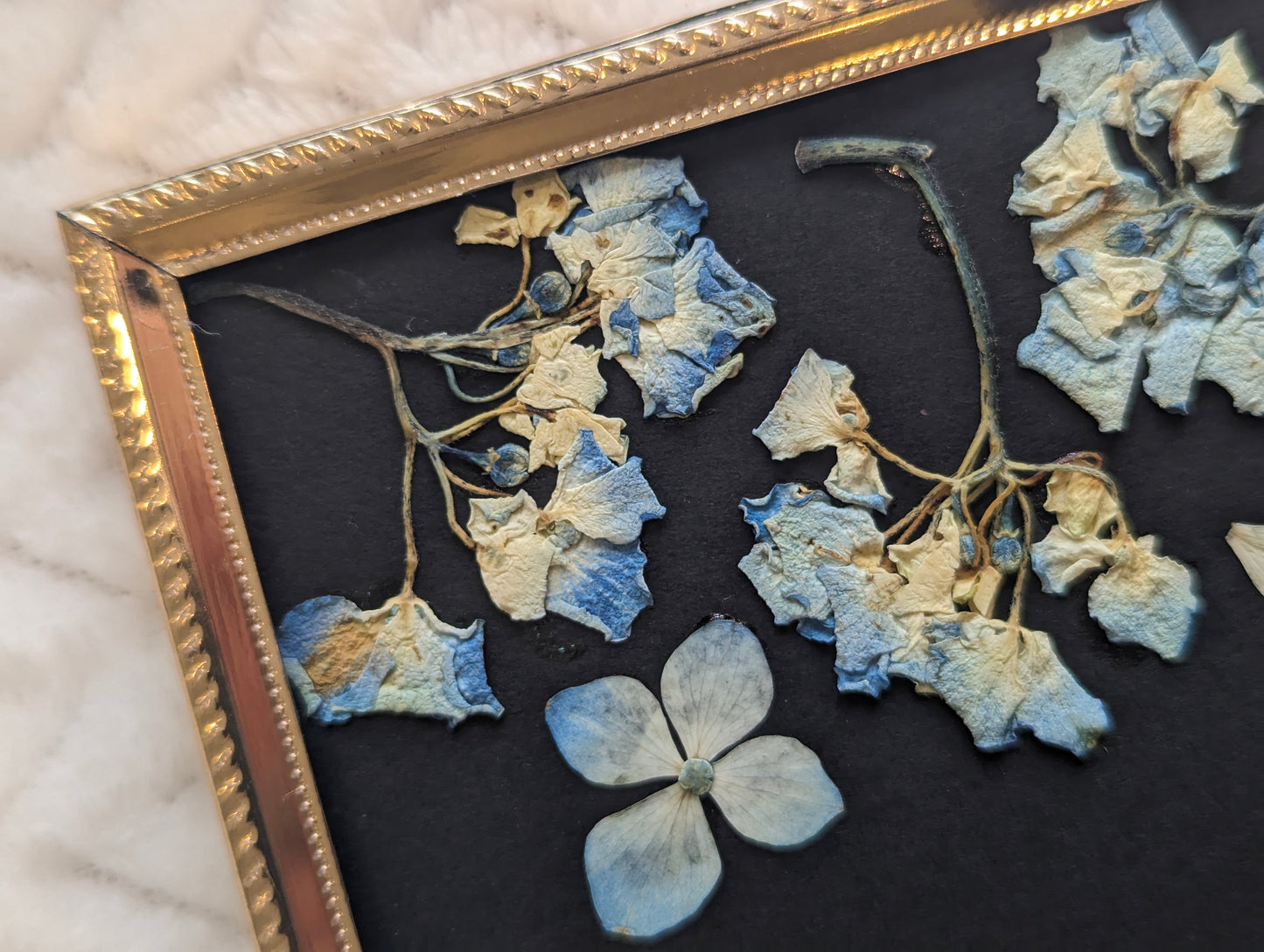 Pressed flower arrangement displayed in a heart shape on a canvas.