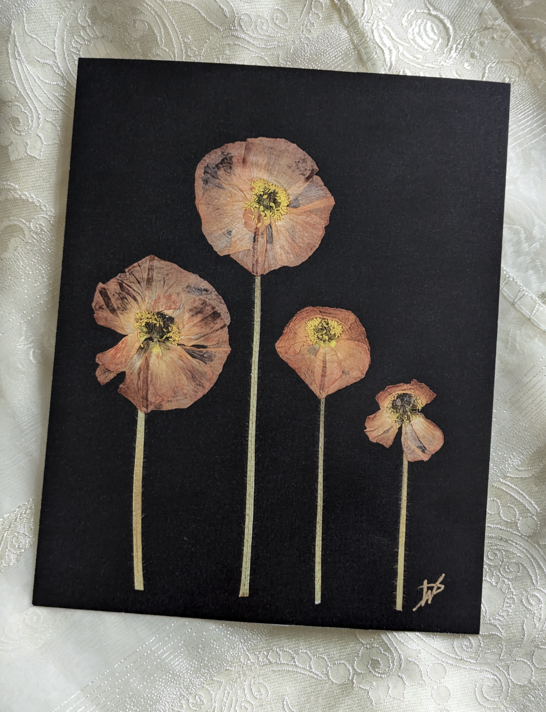 PDF for print pressed poppies